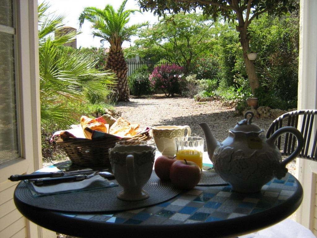 La Maison Des Palmiers Homps  Dış mekan fotoğraf