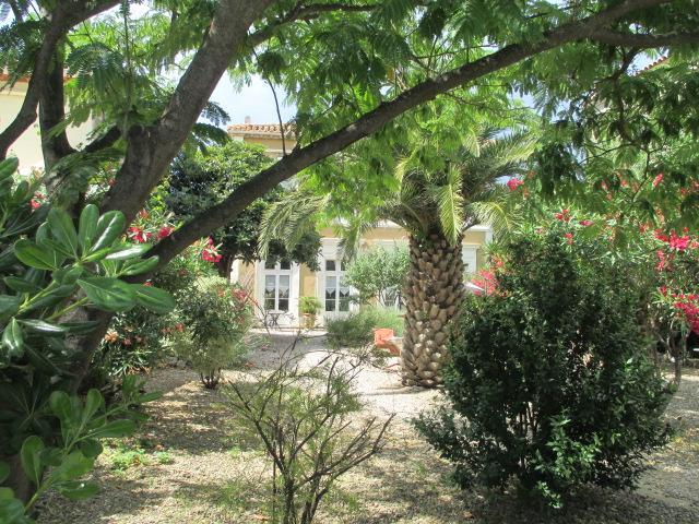 La Maison Des Palmiers Homps  Dış mekan fotoğraf