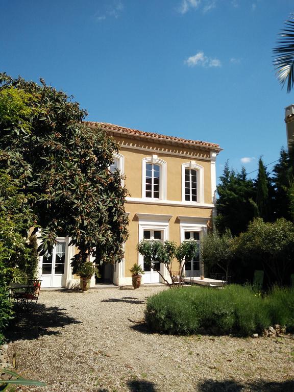 La Maison Des Palmiers Homps  Dış mekan fotoğraf