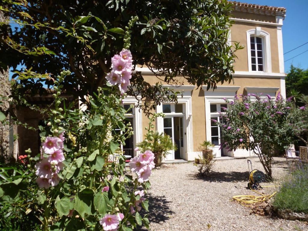 La Maison Des Palmiers Homps  Dış mekan fotoğraf