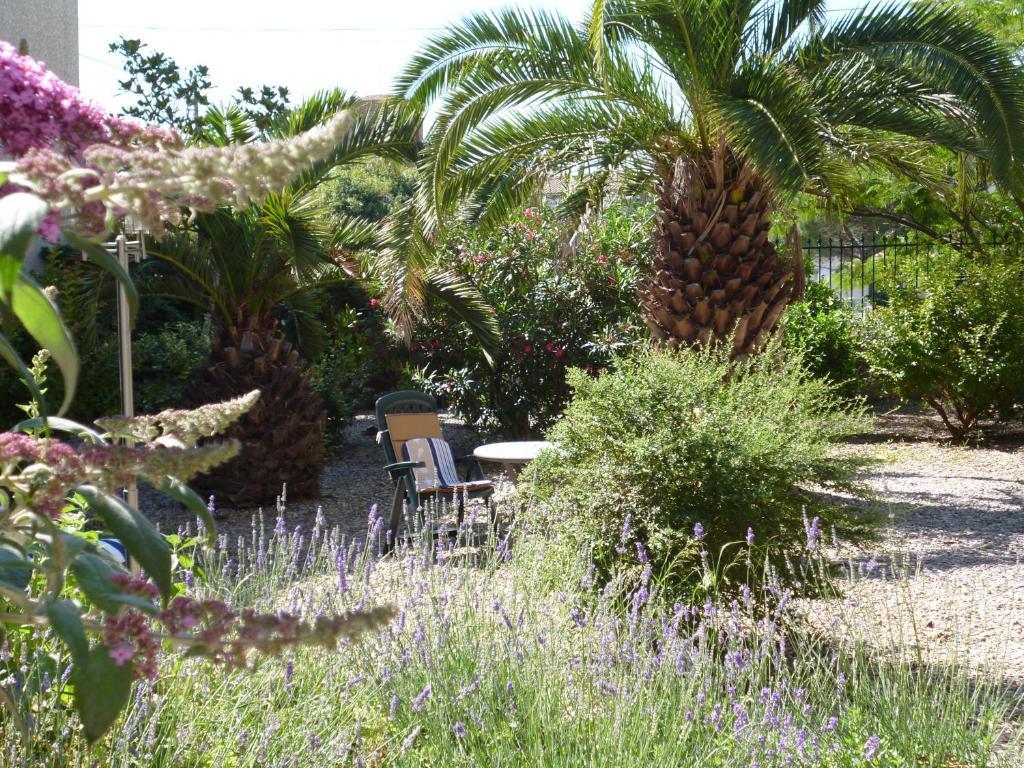 La Maison Des Palmiers Homps  Dış mekan fotoğraf