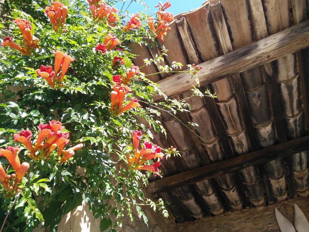 La Maison Des Palmiers Homps  Dış mekan fotoğraf