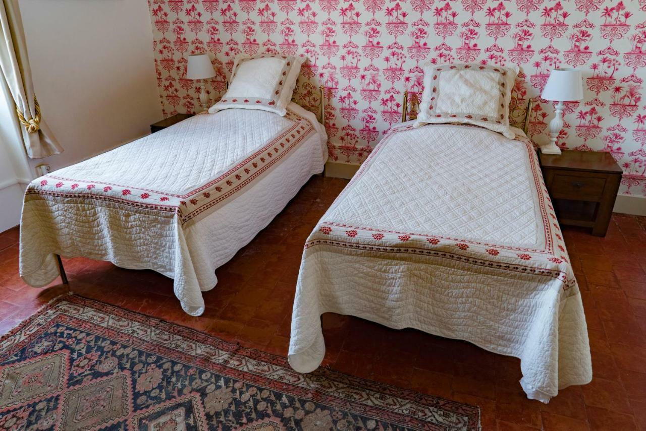 La Maison Des Palmiers Homps  Dış mekan fotoğraf