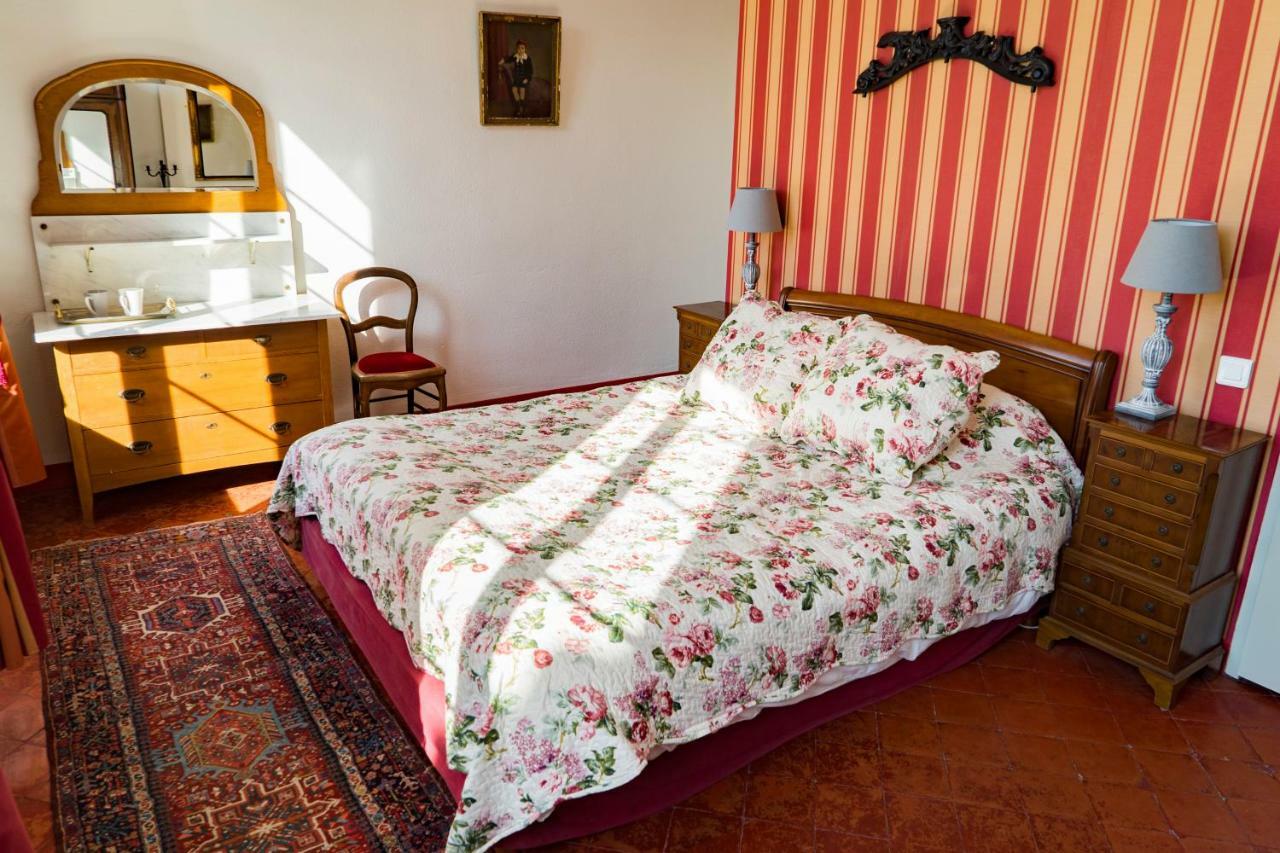 La Maison Des Palmiers Homps  Dış mekan fotoğraf